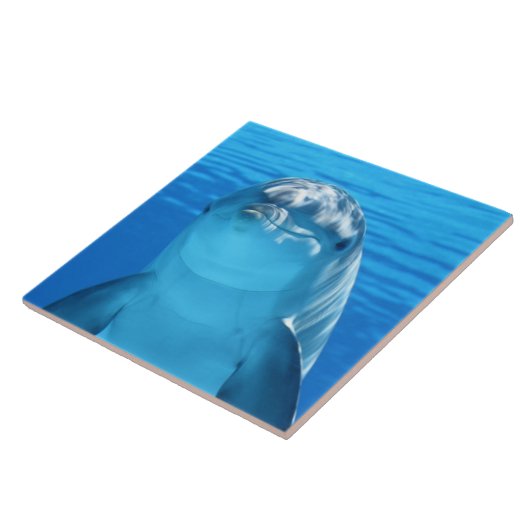 Carreau Dauphin (Côté)