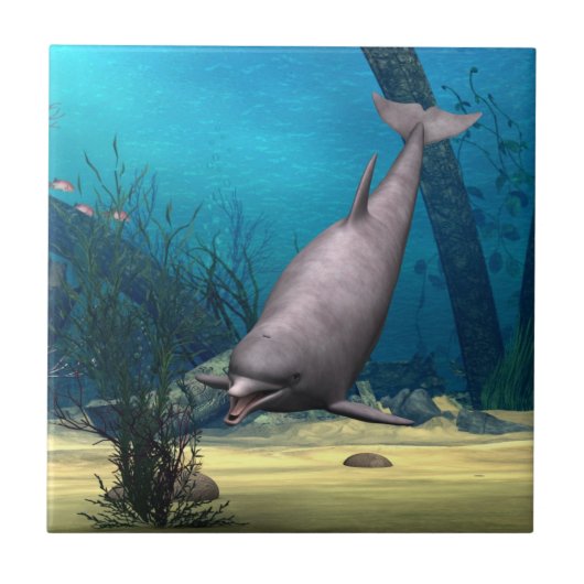 Carreau Dauphin (Devant)