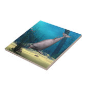 Carreau Dauphin (Côté)