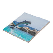 Carreau Dauphin de Bottlenose (Côté)