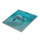 CARREAU DAUPHIN DE VEAU DE MÈRE ET DE BÉBÉ (Côté)