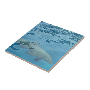 Carreau Dauphin nageant dans de l'eau bleue claire