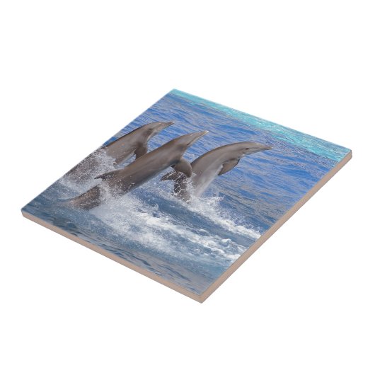 Carreau Dauphins sortant de l'eau (Côté)