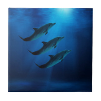 Carreau Dauphins sous des tuiles de l'eau