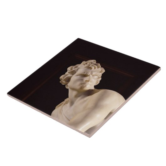 Carreau David, 1623-24 (marbre) (détail) (Côté)