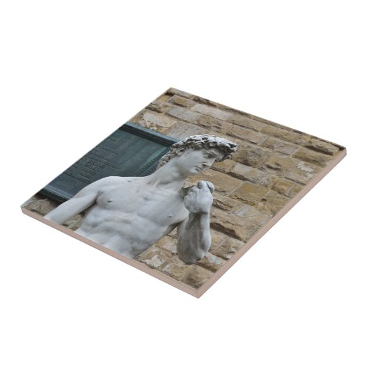 Carreau David de Michel-Ange (Côté)