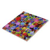 Carreau de baies (Côté)