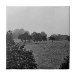 Carreau De beaux arbres et la nature dans le brouillard