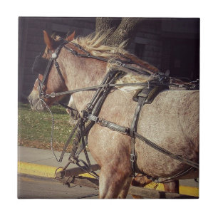Carreau De beaux chevaux