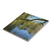 Carreau de beaux saules de printemps près de l'étang d'eau (Côté)