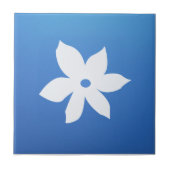 Carreau de céramique (Devant)