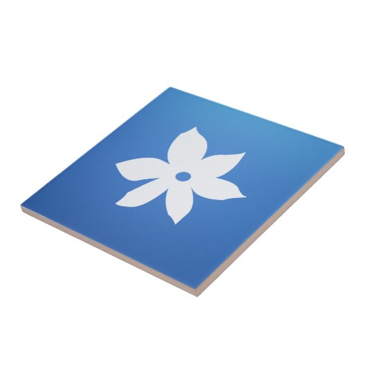 Carreau de céramique (Côté)