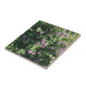 Carreau de céramique (4,25" x 4,25") (Côté)