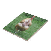 Carreau de céramique avec la poule de Turken (Côté)