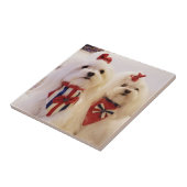 Carreau de céramique avec maltais (Côté)