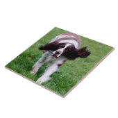 Carreau de céramique avec une photo d'un (Côté)