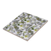 Carreau de céramique blanc floral (Côté)