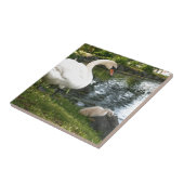 Carreau de céramique cygne et cygnet (Côté)
