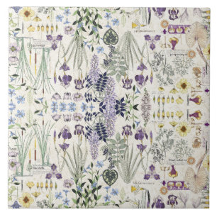 Carreau de céramique d'art de fleurs botaniques