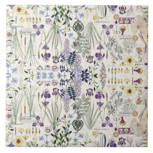 Carreau de céramique d'art de fleurs botaniques (Devant)