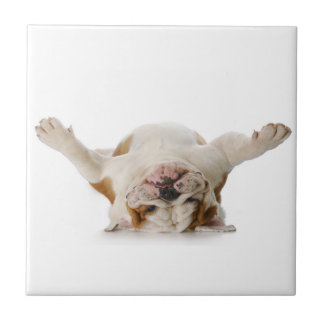 Carreau de céramique de bouledogue anglais