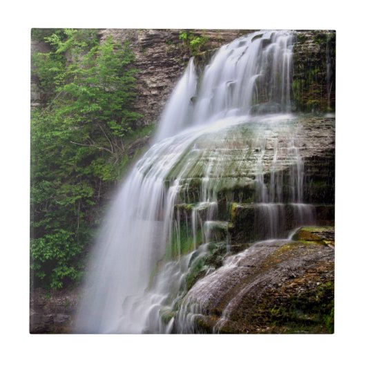 Carreau de céramique de cascade (Devant)