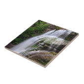 Carreau de céramique de cascade (Côté)