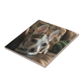 Carreau de céramique de chien de chiwawa (Côté)