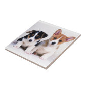 Carreau de céramique de chiots de corgi (Côté)