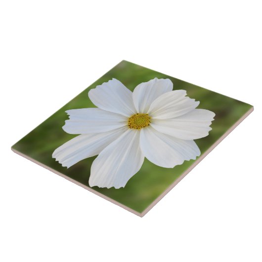 Carreau de céramique de cosmos (Côté)