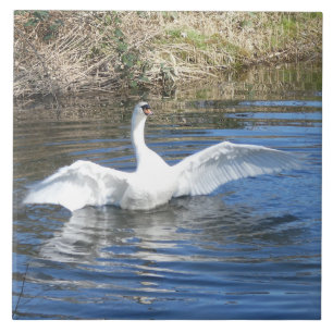 Carreau de céramique de cygne avec ailes déployées