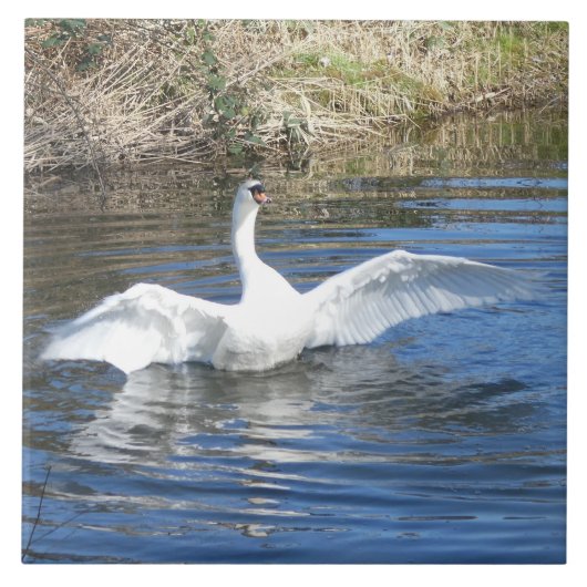 Carreau de céramique de cygne avec ailes déployées (Devant)