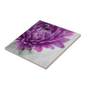 Carreau de céramique de fleur de marguerite dans (Côté)