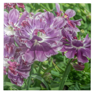 Carreau de céramique de fleurs mauve-clair