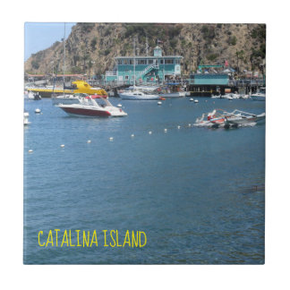 CARREAU DE CÉRAMIQUE DE L'ÎLE CATALINA LA MAISON V