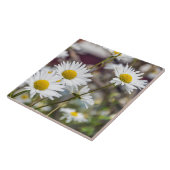 Carreau de céramique de marguerites blanches (Côté)