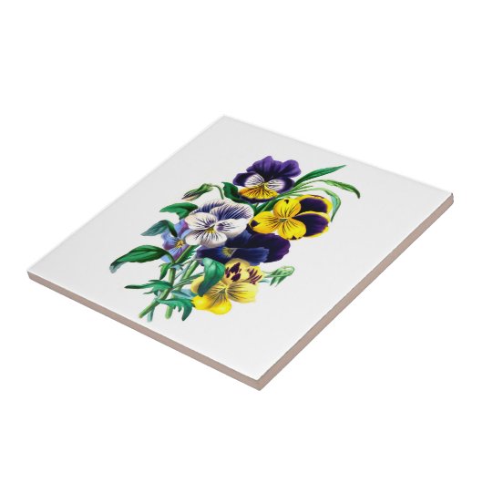 Carreau de céramique de pensées (Côté)