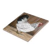 Carreau de céramique de poulet blanc (Côté)
