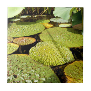 Carreau de céramique de protections de lis