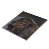 Carreau de céramique de teckel aux cheveux longs (Côté)