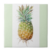 Carreau de céramique de texture de grès d'ananas (Devant)