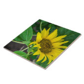Carreau de céramique de tournesol (Côté)