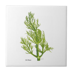 Carreau de céramique Dill Art