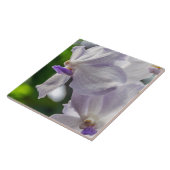 Carreau de céramique d'orchidées blanches (Côté)