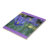 Carreau de céramique Iris Violet (Côté)