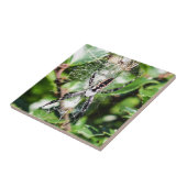 Carreau de céramique noir et jaune d'araignée de (Côté)