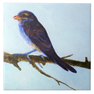 Carreau de céramique oiseau bleu de printemps