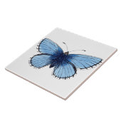 Carreau de céramique - Papillon Bleu (Côté)