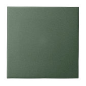 Carreau de céramique texturé vert élégant pour mur (Devant)