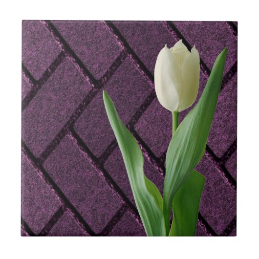 Carreau de céramique Tulipe blanche florale violet (Devant)